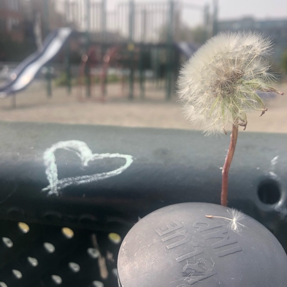 Meet your Posher, Annie - Picture 1 of 1